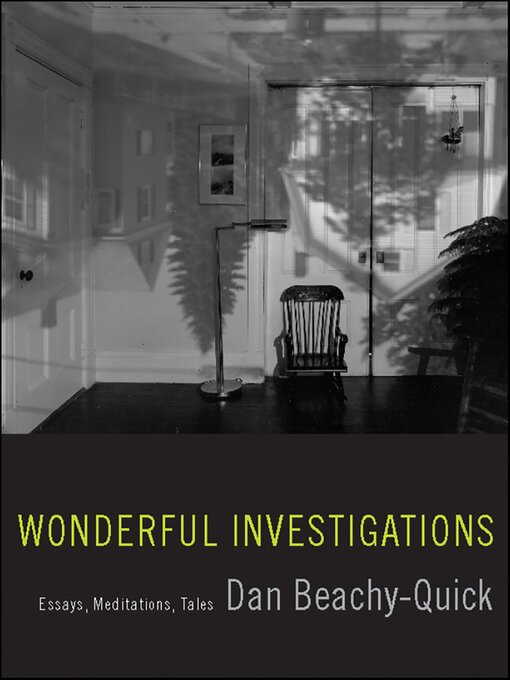 Cover image for Wonderful Investigations